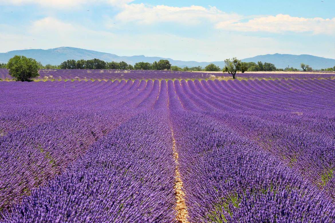 Gite Le Petit Vallon Allemagne-en-Provence Exteriör bild